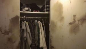 Humidité dans les placards : 7 solutions efficaces pour en venir à bout